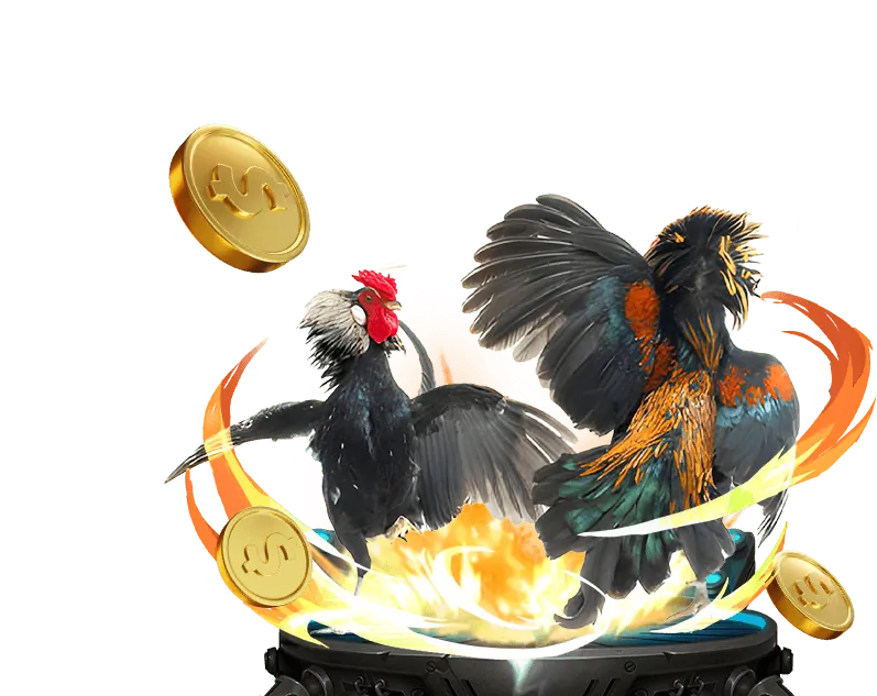 Jackpot Địa Phương và Mạng Lưới