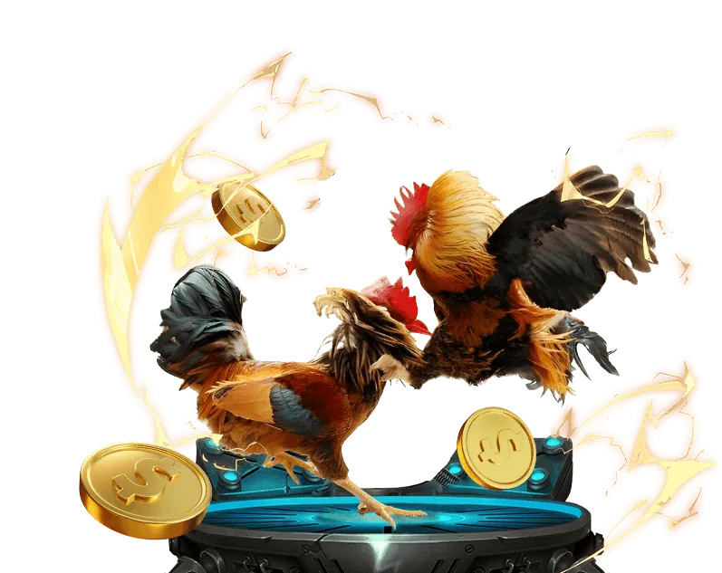 Sân đấu đá gà trực tuyến bong da lu5